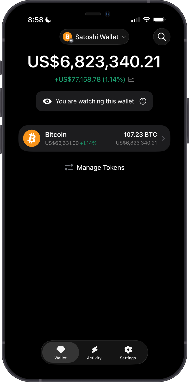 Bitcoin Watch Wallet in view-only mode