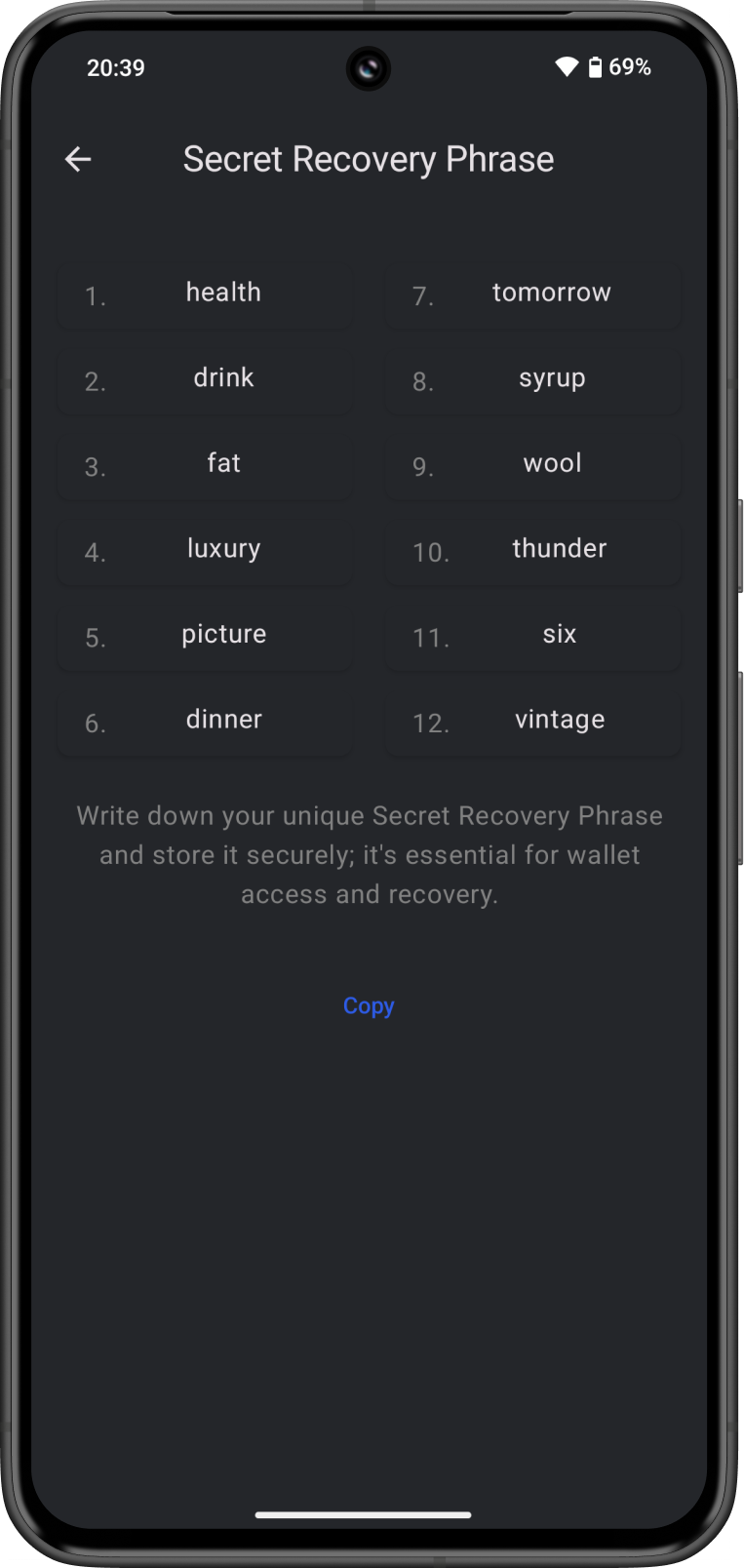 Secret Recovery Phrase Screen