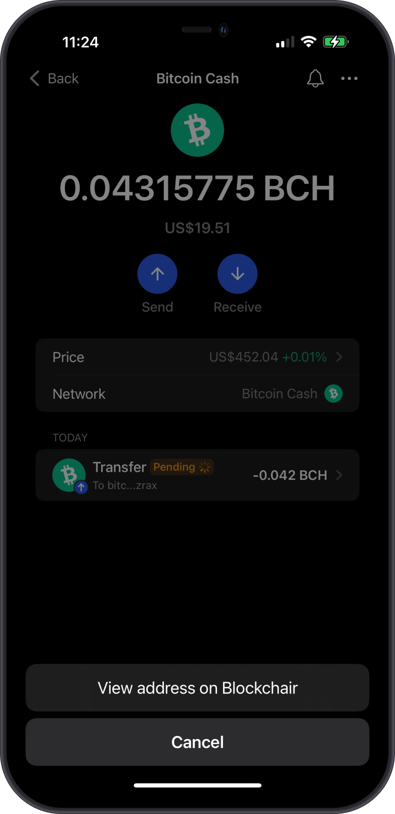 Bitcoin Cash Balance on Gem Wallet