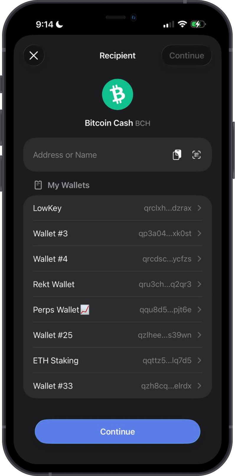 Enter a Bitcoin Cash Recipient