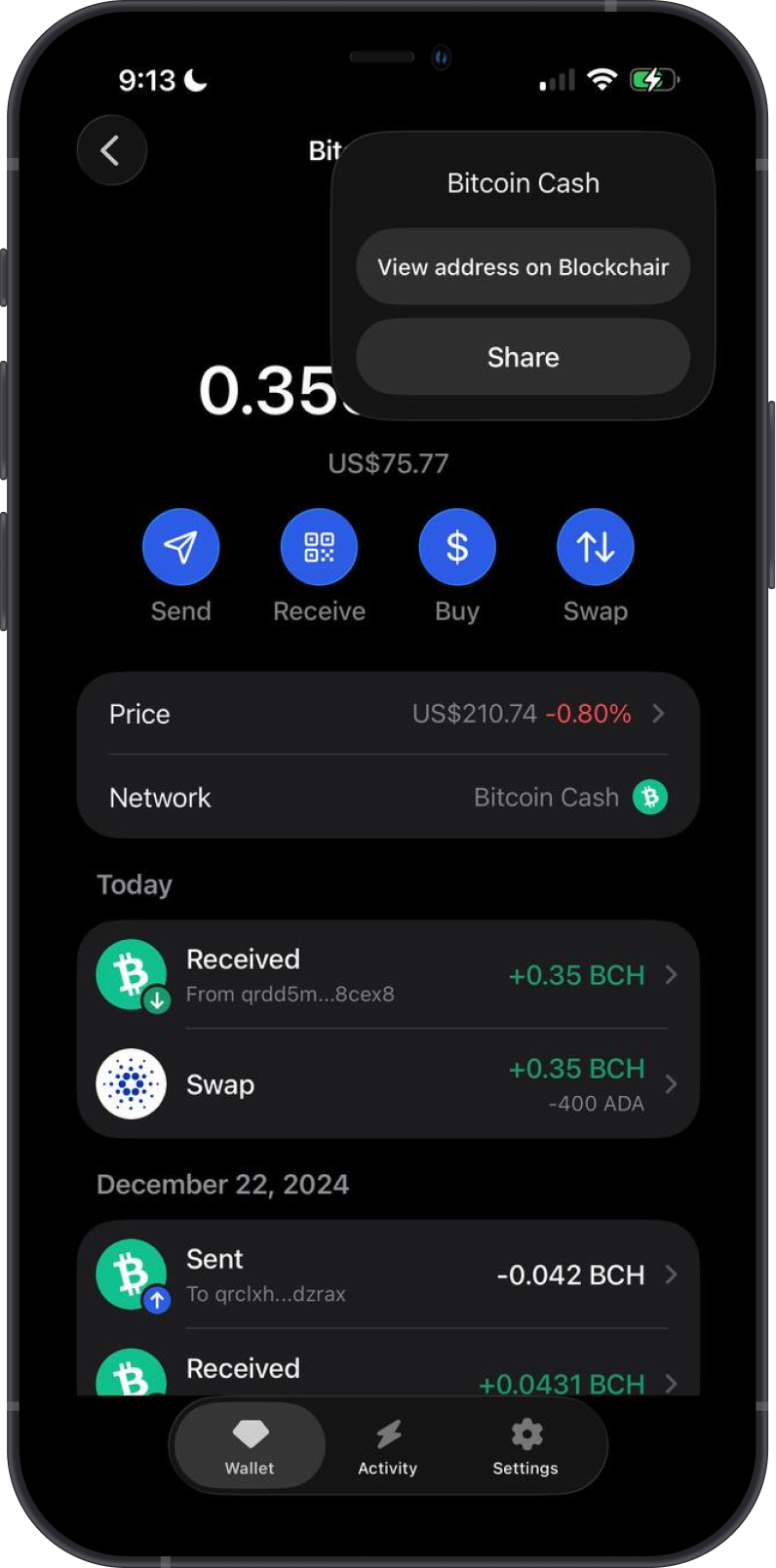 Open Bitcoin Cash Address on Blockchair