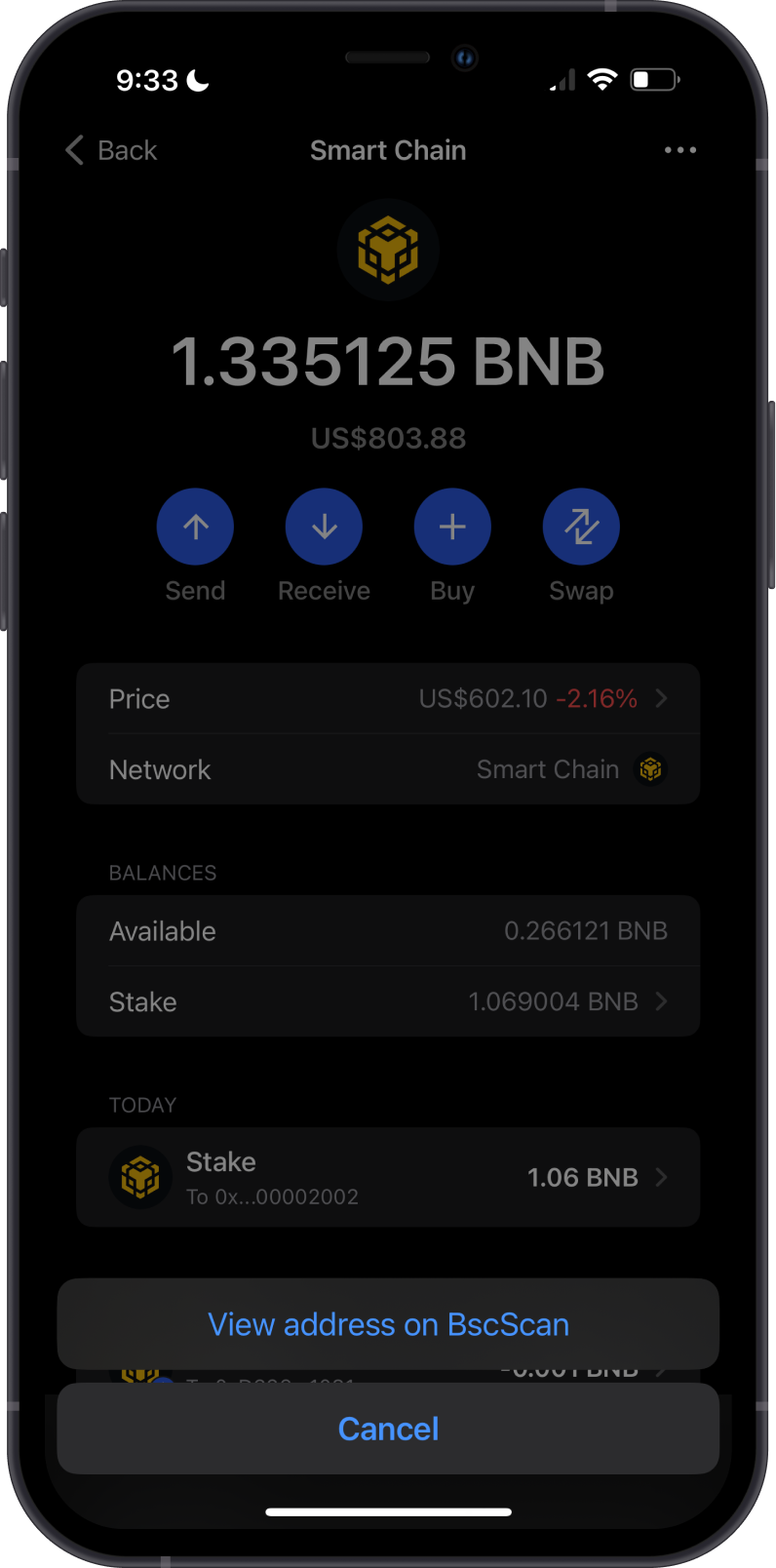 View BNB Balance