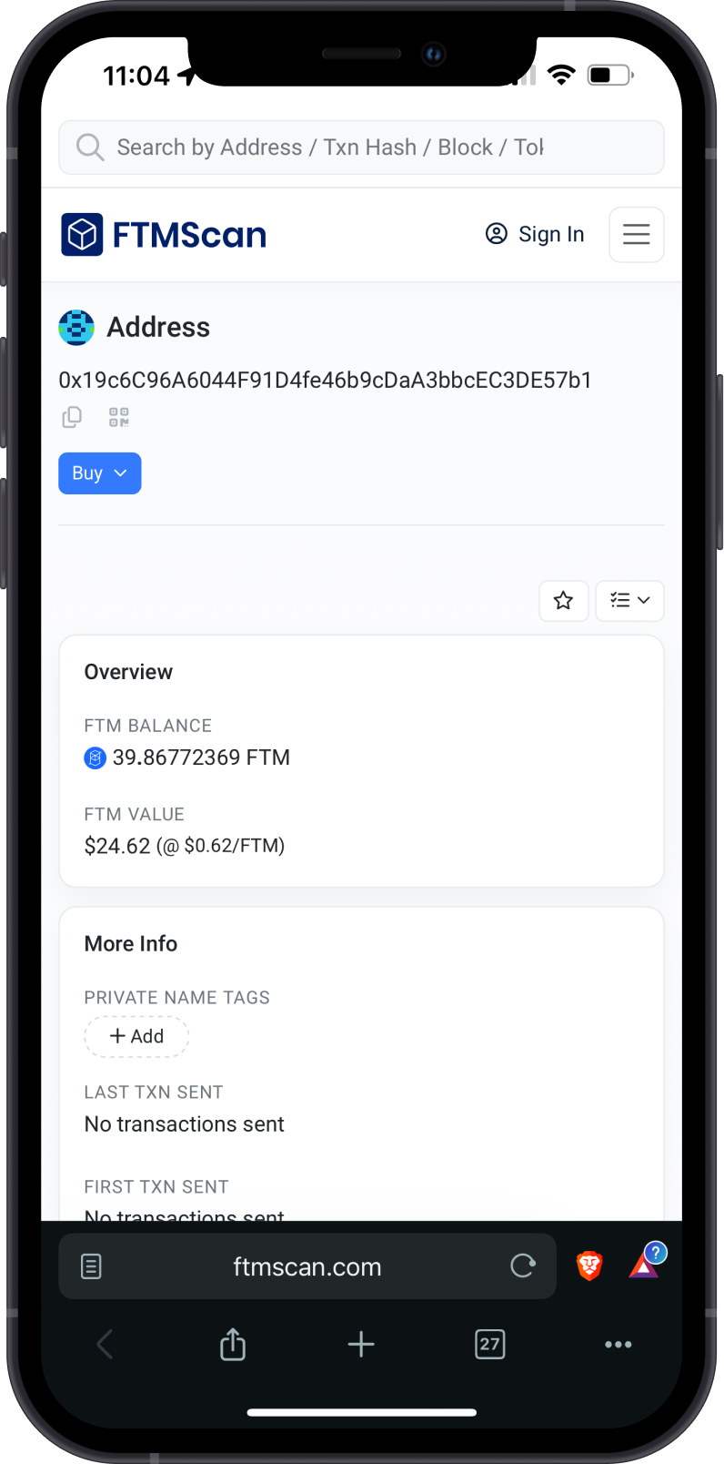 Checking Balance on FTMScan