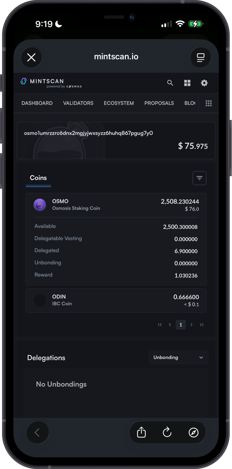 Check Osmosis Balance on Mintscan