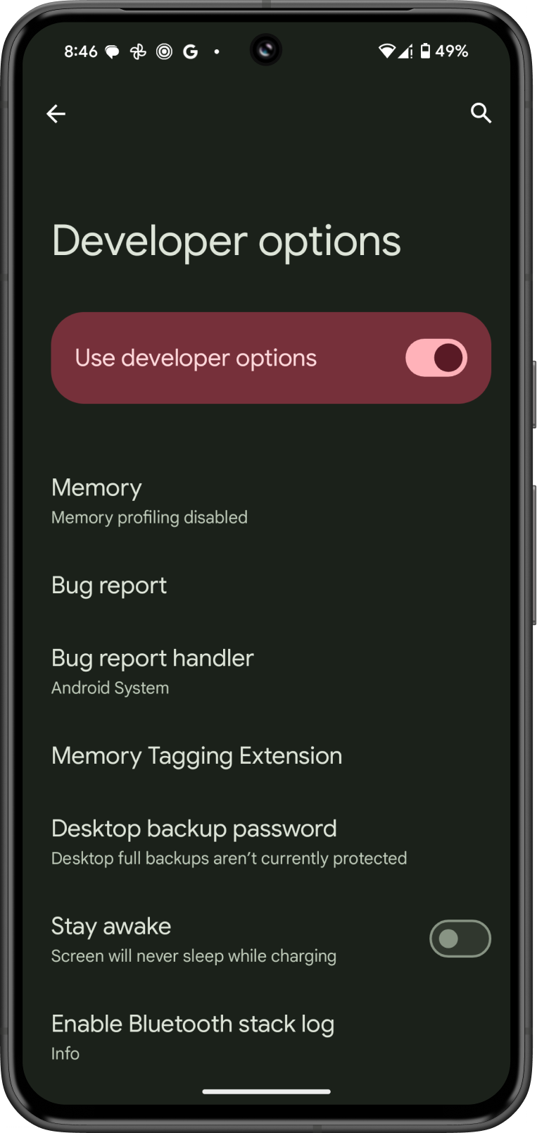 Developer Options Enabled