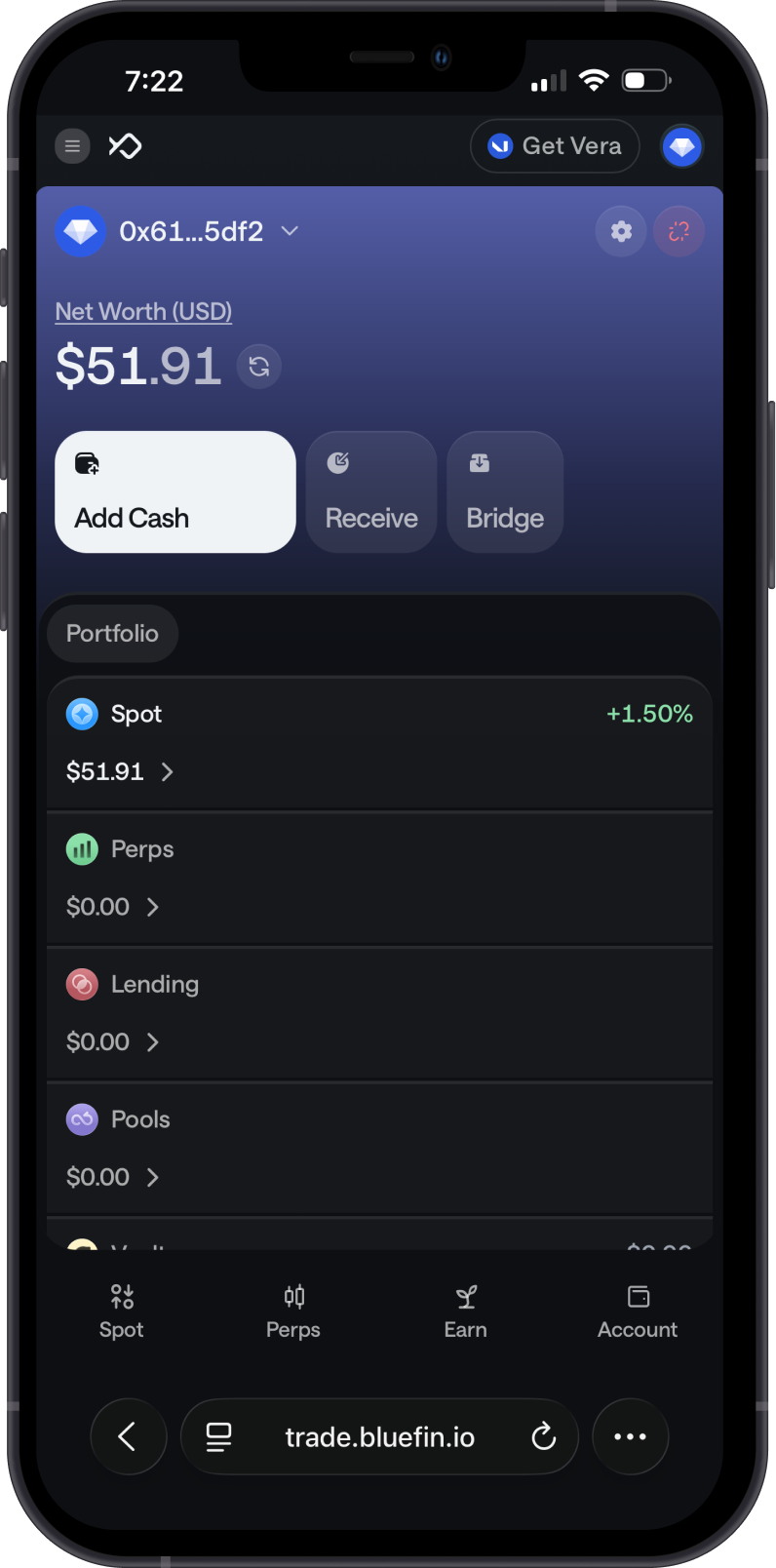 Sui assets connected to Bluefin