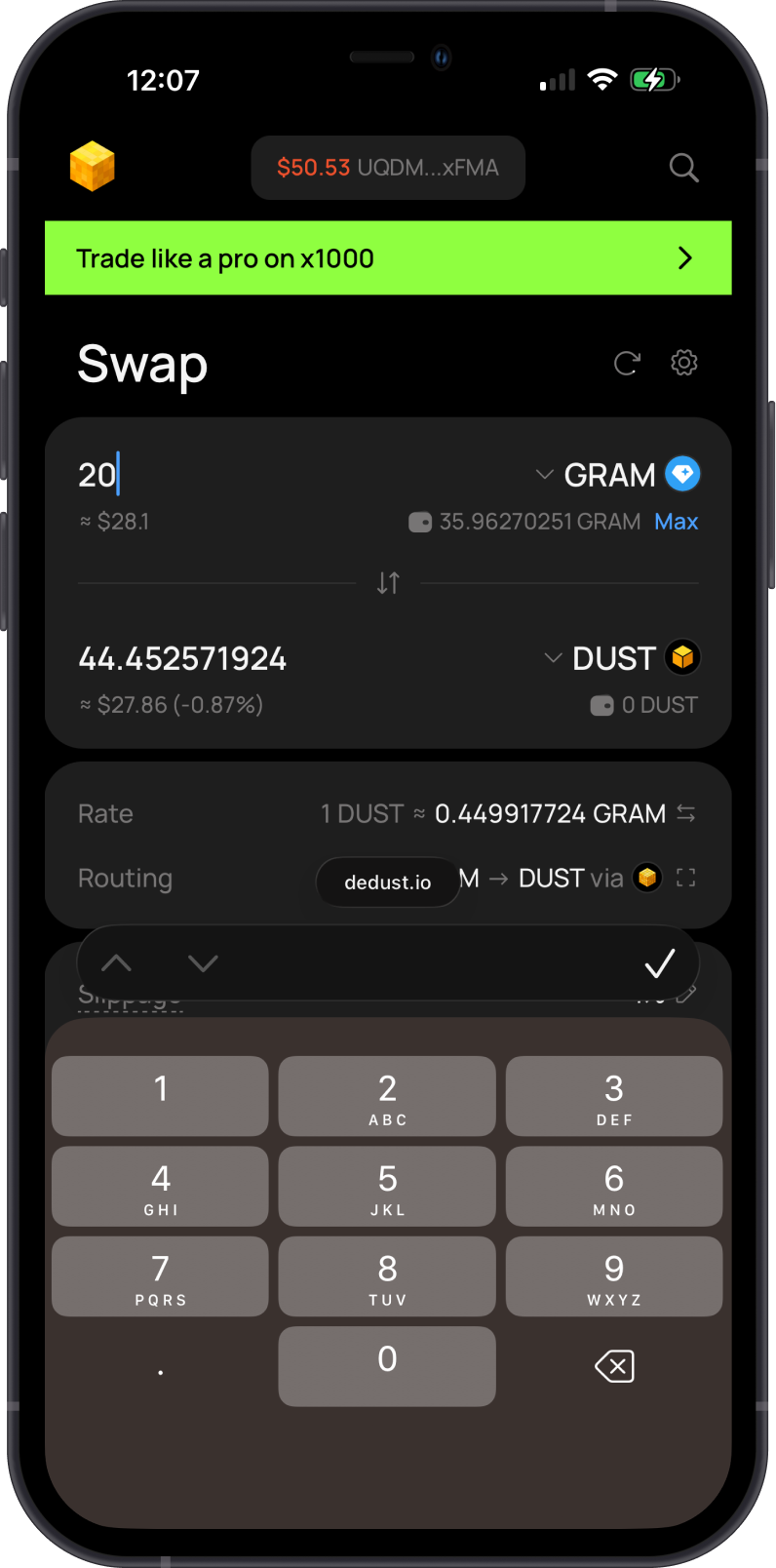Enter the swap amount on DeDust
