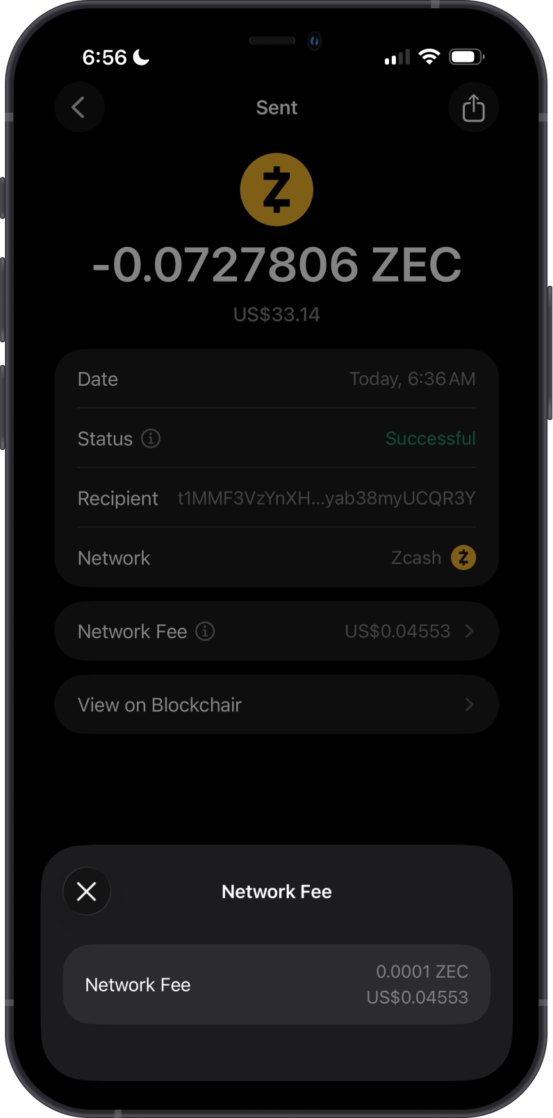 Sent Zcash Transaction Details